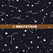 属猴双子女今日运势，属猴双子座男2010年运势