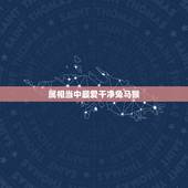 属相当中最爱干净兔马猴，属兔的和什么属相相冲