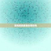 龙和虎的属相合得好吗，龙和虎能婚配吗？