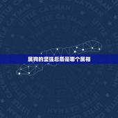 属狗的坚强后盾是哪个属相，属狗的和哪个属相匹配