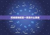 攻城掠地蛇鼠一窝是什么属相，鼠跟什么属相不合