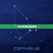 1996年是水鼠年吗，1996年是火鼠还是水鼠