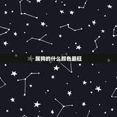 属狗的什么颜色最旺，82年狗最倒霉一年