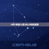 1987年的人在2022年的运势，1987年属兔人2022年运势？