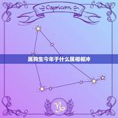 属狗生今年于什么属相相冲，属狗和什么属相相克