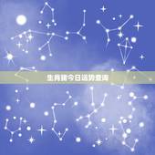 生肖猪今日运势查询，查询一下属猪运气