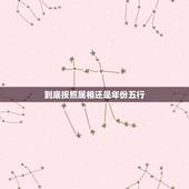 到底按照属相还是年份五行，五行八字属什么命按出生年份还是出生日子来算？