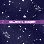 九型人格中23型人格适合婚配，九型人格中第五型人适合作什么样的工作？
