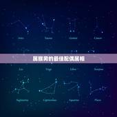 属猴男的最佳配偶属相，属猴男和什么属相最配 属猴的人最佳属相婚配