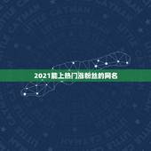 2021能上热门涨粉丝的网名，2021抖音火爆昵称有哪些？