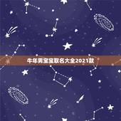 牛年男宝宝取名大全2021款，何姓牛宝宝取名大全2021款