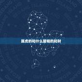 属虎的和什么属相的和财，属虎的人2015年与哪个属相合财