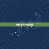 虎和羊兄妹合适吗，生肖虎羊兄妹