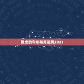 属虎的今年每月运势2021，2018年属蛇人运势 属蛇的2018年运程