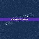 属虎正月初九人的命运，属虎的人命运如何？