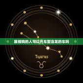 属相狗的人可以开车型含龙的车吗，属狗的和属龙的相配吗
