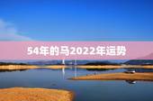 54年的马2022年运势，66年属马人的晚年宿命
