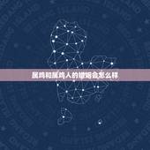 属鸡和属鸡人的婚姻会怎么样，属羊女人的命运与婚姻