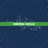 属猴的命运一生怎么样，属猴40岁后有十年大运