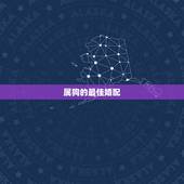 属狗的最佳婚配，属狗的女孩和什么属相婚配最好