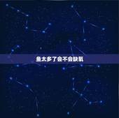 鱼太多了会不会缺氧，鱼缸养多少鱼不会缺氧？