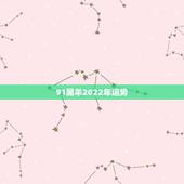 91属羊2022年运势，91年属羊2021年运势