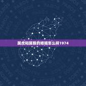 属虎和属猴的婚姻怎么样1974，属猴与属虎的婚配如何
