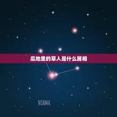 瓜地里的草人是什么属相，瓜地里的草人……装模作样是什么生肖