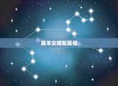 属羊女婚配属相，女羊最适合婚配属相表