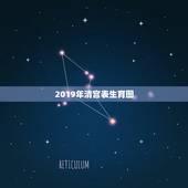 2019年清宫表生育图，2019怀孕2023年生是看2019的清宫表还
