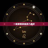 一般家里养鱼养几条好，家里养鱼养几条最好 养鱼风水讲究有哪些？