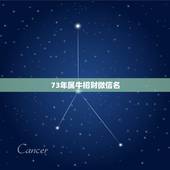 73年属牛招财微信名，属牛的微信头像用什么比较吉利啊？谢谢你们了！