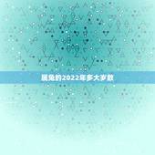 属兔的2022年多大岁数，99年到2022年多大
