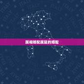属相婚配属鼠的婚配，属鼠的属相婚配表，属鼠和什么属相最配