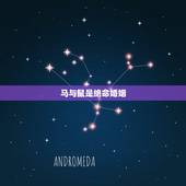 马与鼠是绝命婚姻，六冲最严重的一组