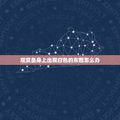 观赏鱼身上出现白色的东西怎么办，我养的热带鱼老是死，尸体上好象有一层白
