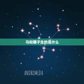 马和骡子生的是什么，为什么要繁殖骡子