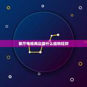 客厅电视两边摆什么植物旺财，客厅电视柜两边适合摆放什么植物 植物摆放的