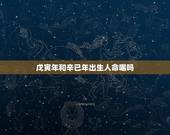 戊寅年和辛已年出生人命喝吗，1998年属虎的更佳配偶