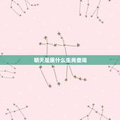 明天是属什么生肖查询，明天属什么生肖