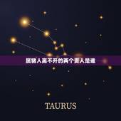 属猪人离不开的两个贵人是谁 属猪的生命中的贵人