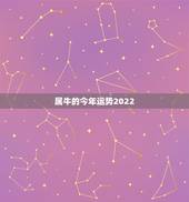 属牛的今年运势2022，2022年属牛人的全年运势