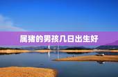属猪的男孩几日出生好，属猪哪天出生富贵