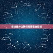 感谢缘分让我们相遇歌曲原唱，歌词是，缘分让你我相遇在这茫人海里，是什么