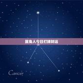 属兔人今日打牌财运，1975兔今天麻将财运