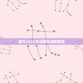 属牛2022年运势及运程男性，1985年属牛男2021年运势及运程