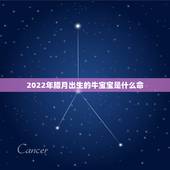 2022年腊月出生的牛宝宝是什么命，庚子鼠年腊月出生的宝宝命运好吗