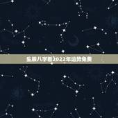 生辰八字看2022年运势免费，八字2022年运势及运程