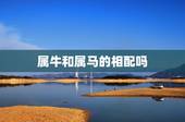 属牛和属马的相配吗，牛马结婚真的会克死吗
