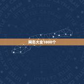 网名大全1000个，带有千字的网名